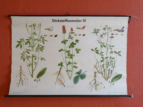 Alte schulwandkarte schulkarte - schulwandkarte,