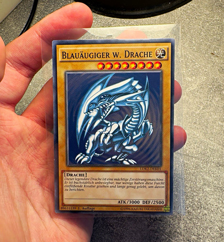Blauäugiger drache - blauäugiger,