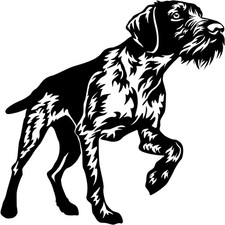 Deutsch drahthaar aufkleber - aufkleber,
