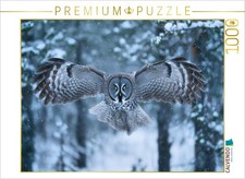 CALVENDO Puzzle Eule, die