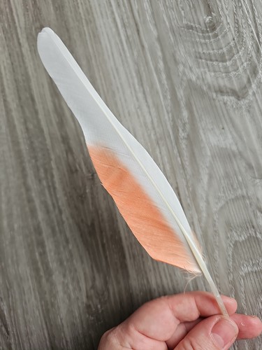 Weiß lachs - cm, 🤍🧡