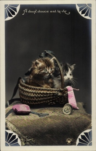 Katzenbabys korb katzen - ak,