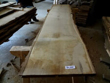 Akazie,massiv,Bohle,Baumstamm