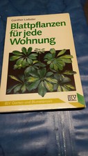 Blattpflanzen für die Wohnung