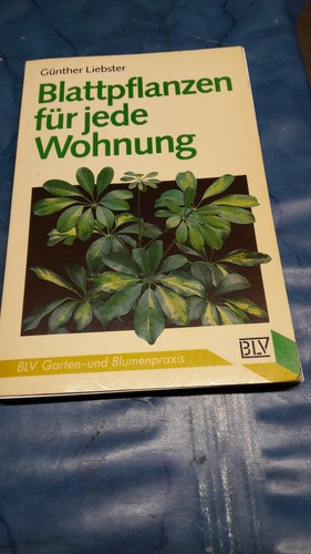 Blattpflanzen für die wohnung - die,