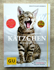 NEU: Verspielte Kätzchen so