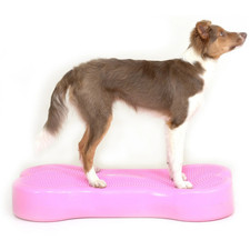 K9 Sports Bone Large Hunde