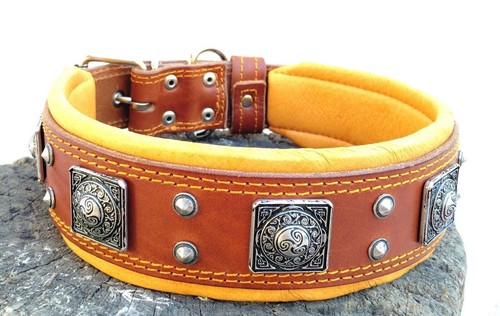Echtleder hundehalsband mit - hundehalsband,