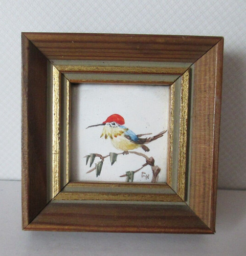 Altes bild miniatur kolibri - bild,