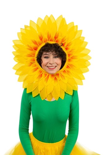 Sonnenblume sonnenblumenhut - sonnenblume,