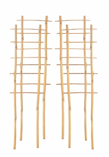 Bambusspalier 60cm - 4x,