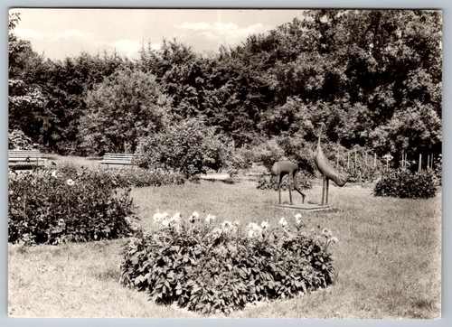 Postkarte forst lausitz - postkarte,