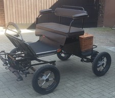 Buggy - Minishetty/Shetty - 12