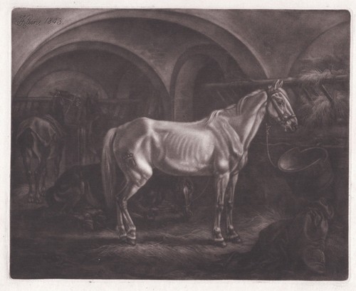 Pferde horses johann adam - horses,