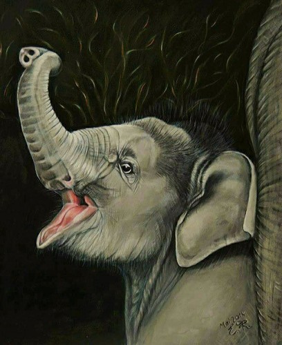 Akrylbild 60cm elefant - akrylbild, 50