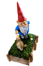 zwerg  Gnom Kabouter mit quakender  Ente  16 x 1ß cm