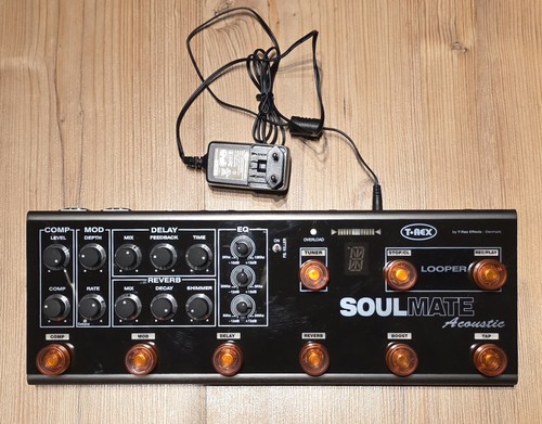 Rex soulmate acoustic - t-rex,