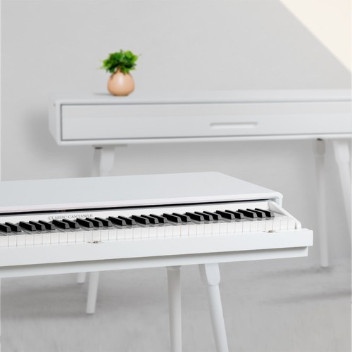 Tasten digital piano - 88,