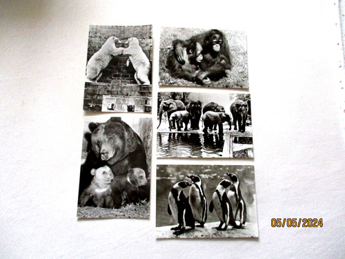 Zoo leipzig tierkarten - , 5