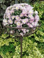XL Blumenkorb aus Metall zum
