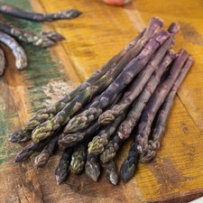 Asparagus staude nutzpflanze - asparagus,