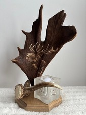 Tischlampe damhirschgeweih mit - tischlampe,