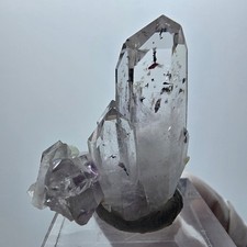 Harlekin Phantom Amethyst mit