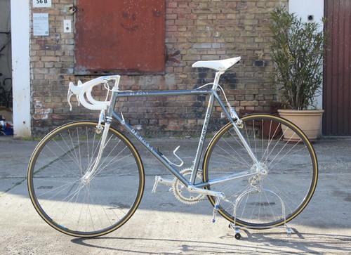 Rosa professional slx - de,