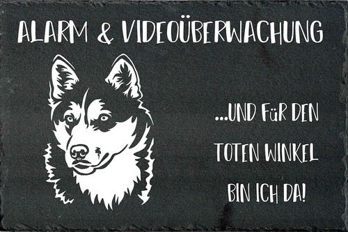 Siberian husky hundewarnschild - siberian,