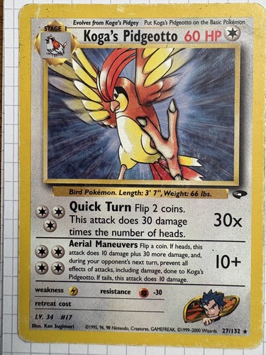 Koga pidgeotto 132 - koga’s,