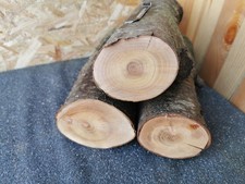 3× Mirabelle Drechselholz