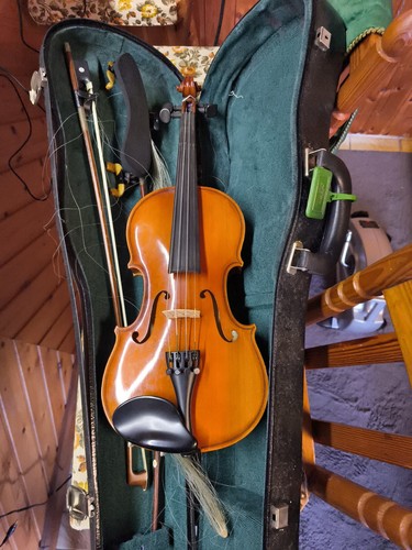 Violine geige - violine,
