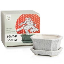 Bonsai schale aus keramik mit - bonsai,