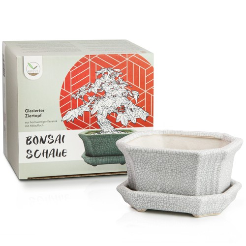 Bonsai schale aus - bonsai, mit