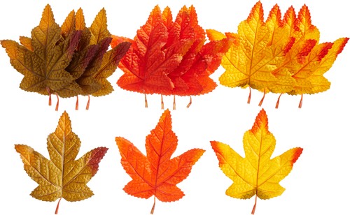 Vbs herbstblätter sortiert - herbstblätter,