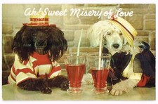 Vintage White & Black Poodles