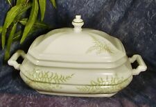 GALLO LEONARDO Fougere