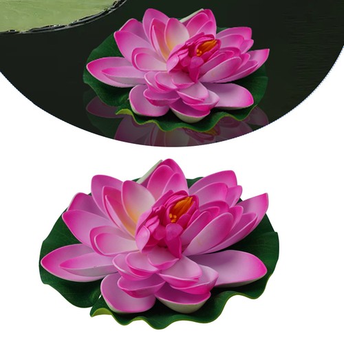 Schwimmende lotus seerose - lotus,