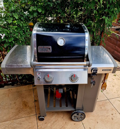 Schöner weber genesis - schöner, ii