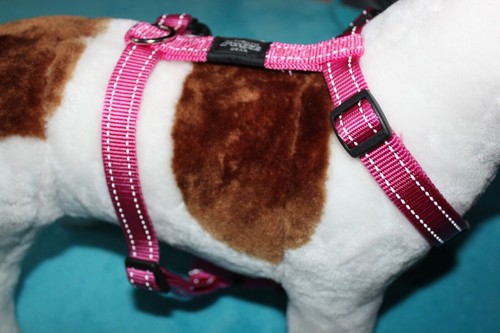 Rogz hunde geschirr - ❤️,