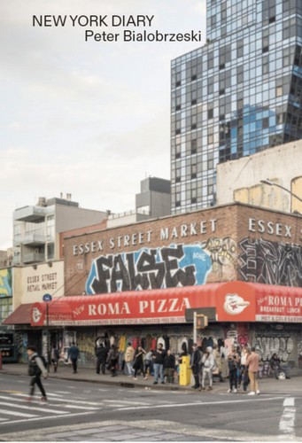 New york diary - new,
