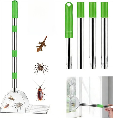 Insektenfänger mit