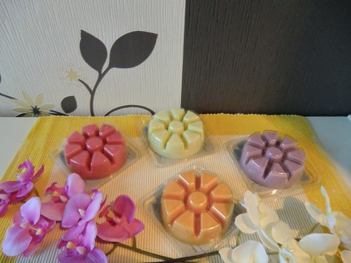Partylite scent plus - partylite, melts