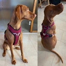 Petlando OUTDOOR GESCHIRR