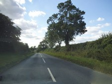 Foto 6x4 Woodway, Princes