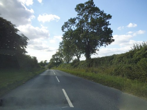 Foto 6x4 woodway - foto,