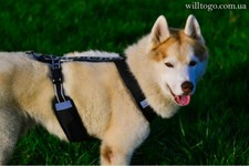 Will to go Comfort Harness
