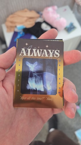 Panini harry potter - harry, always