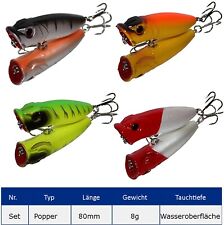 POPPER Wobbler Raubfisch