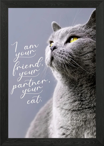 Beste katze zitate süße - katze,